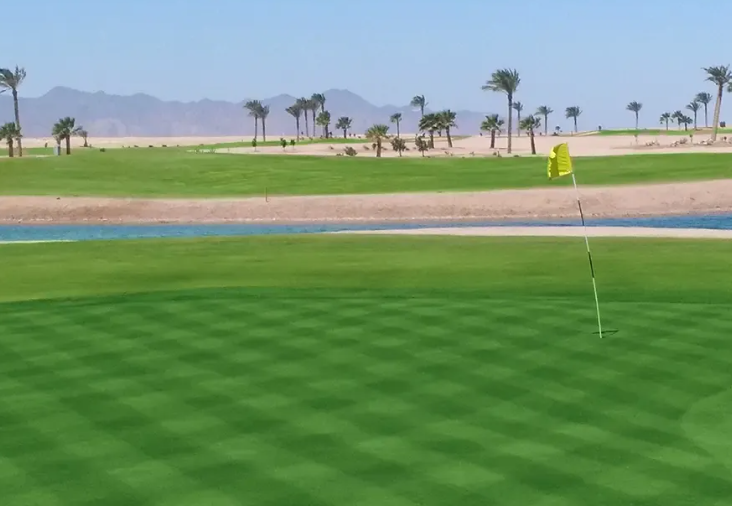 El Gouna Golf Club — image 4