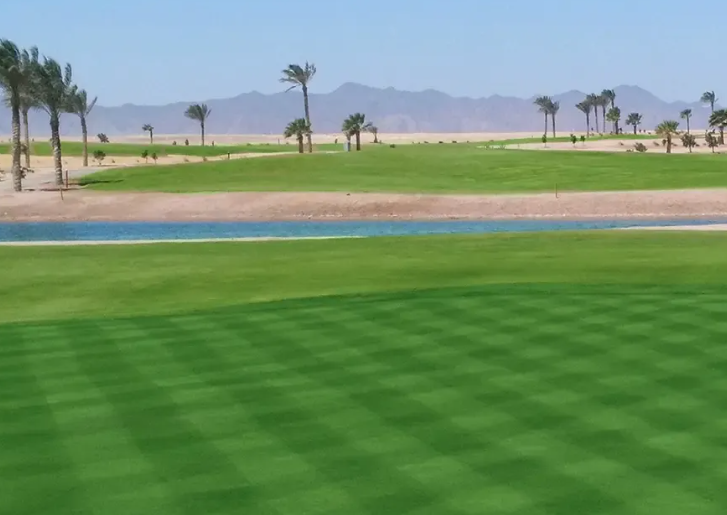 Ancient Sands Golf Club — image 2