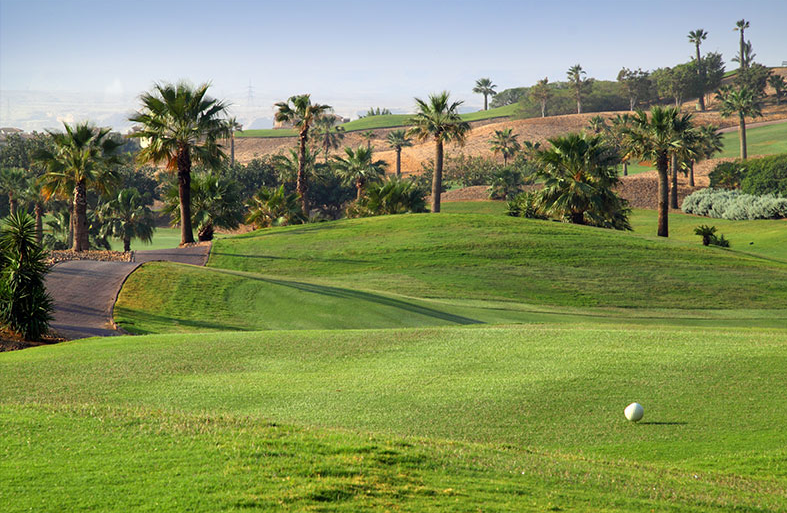 Katameya Heights Golf & Tennis Resort — image 3