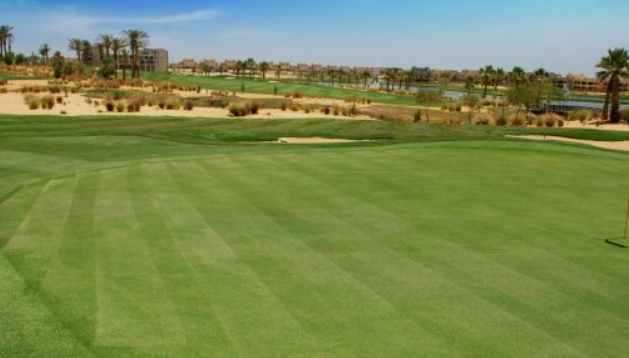 Sokhna Golf Club — image 3