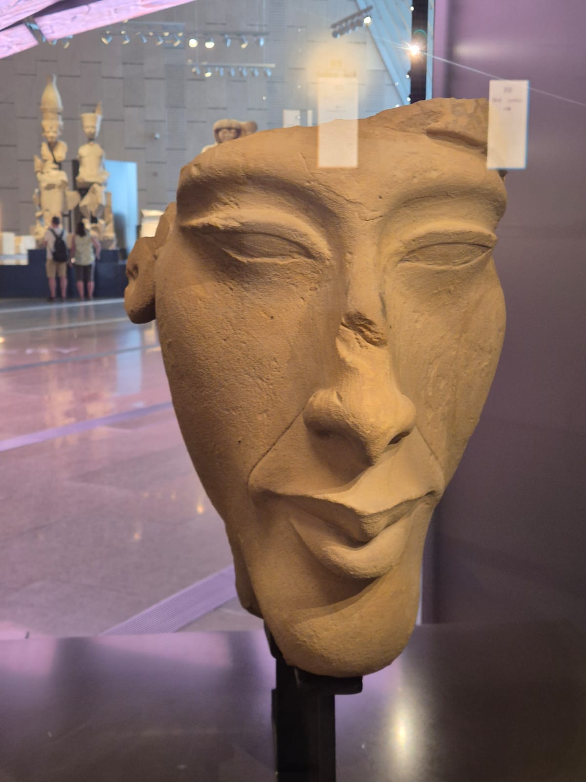 Sandstone head of Akhenaten displayed at the Grand Egyptian Museum