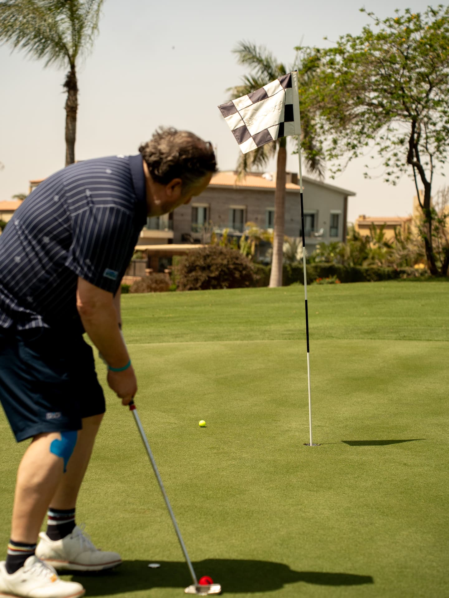 The Allegria Golf Club — image 5