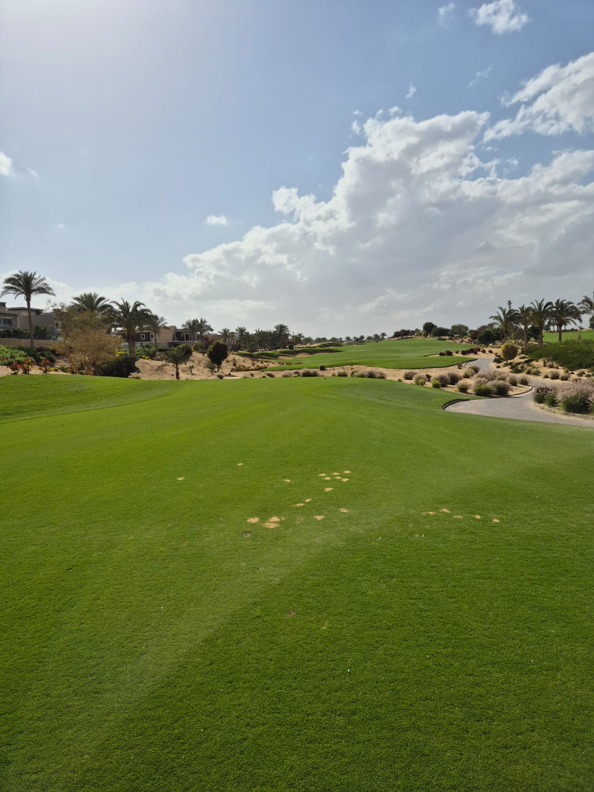 Palm Hills Golf Course — image 4