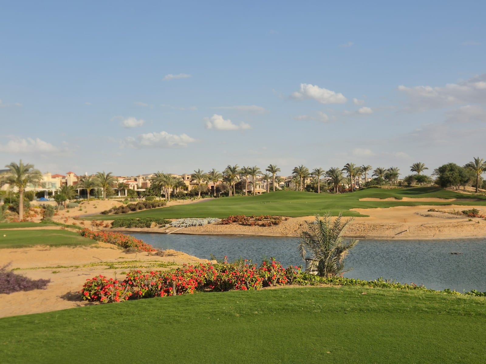 Palm Hills Golf Course — image 5